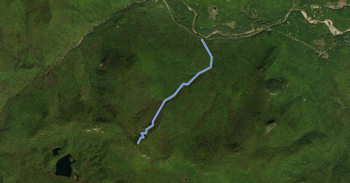 Маршрут Mount Tremont Trail на спутниковом снимке