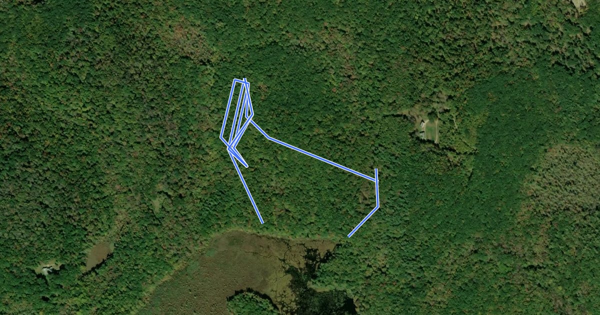 Маршрут Mountain Laurel Trail на спутниковом снимке