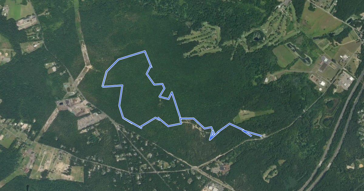 Маршрут Mountain Laurel Trail на спутниковом снимке