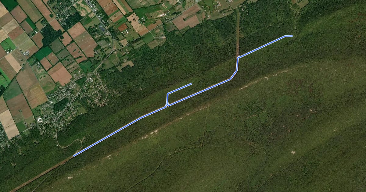 Маршрут Mountain Mist Trail на спутниковом снимке