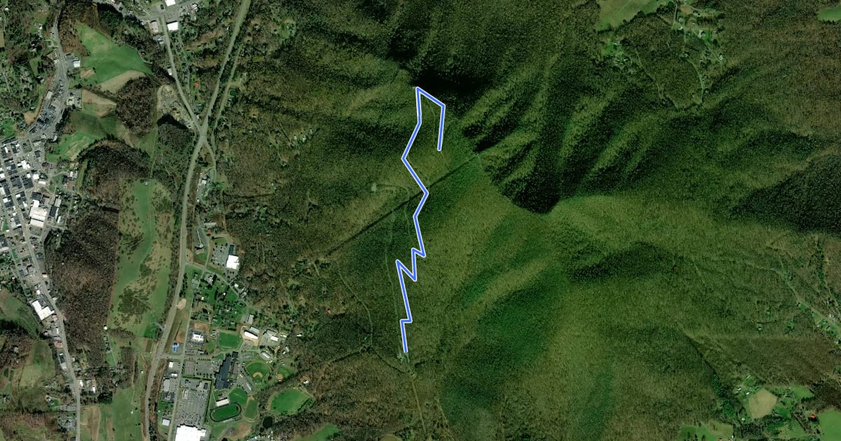 Маршрут Mountain Ridge Trail на спутниковом снимке