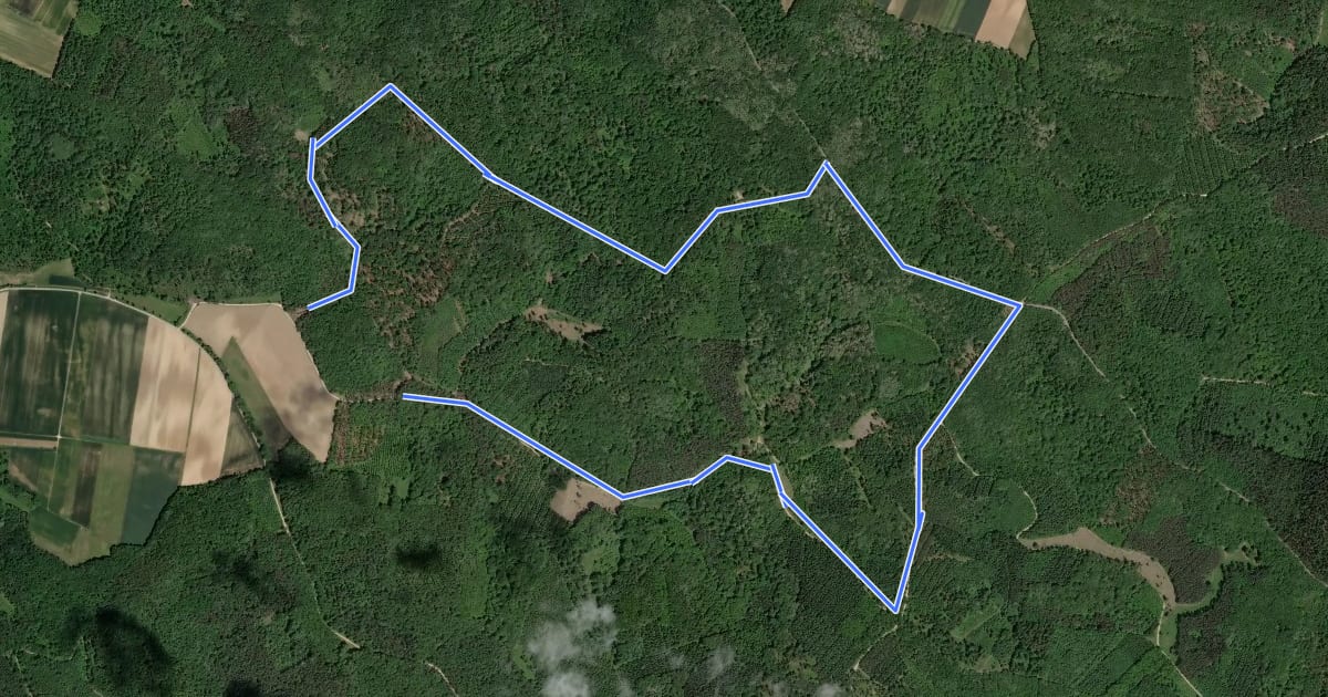 Маршрут Mountainbike-Strecke M2 на спутниковом снимке