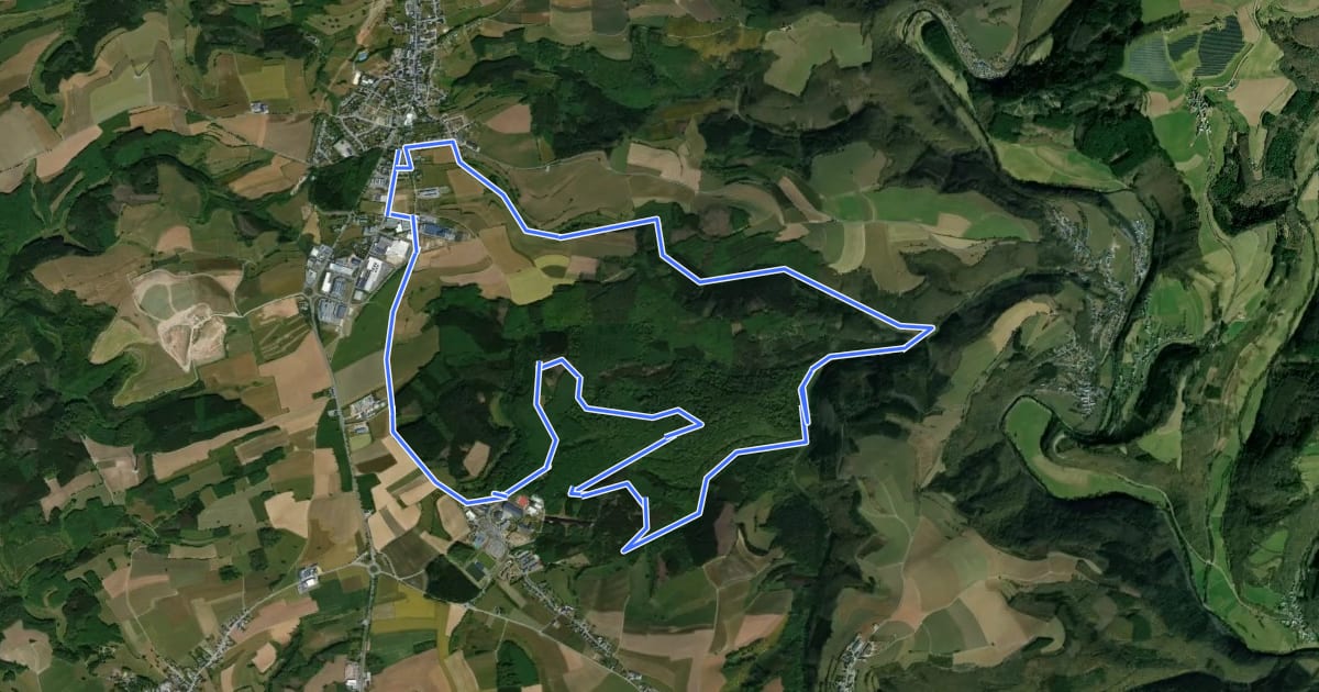 Маршрут Mountainbike / VTT Tour 05 Hosingen на спутниковом снимке