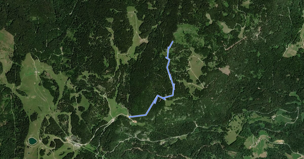 Маршрут Mozirska koča - Boskovec на спутниковом снимке