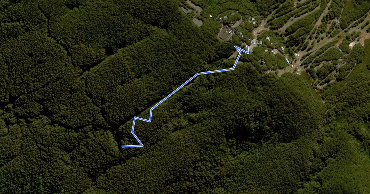 Маршрут Mt Baw Baw DH Track на спутниковом снимке