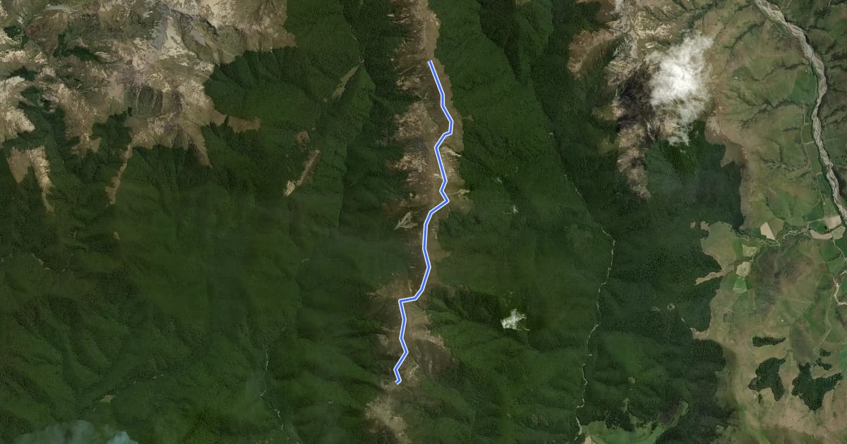 Маршрут Mt Bee Ridge track на спутниковом снимке
