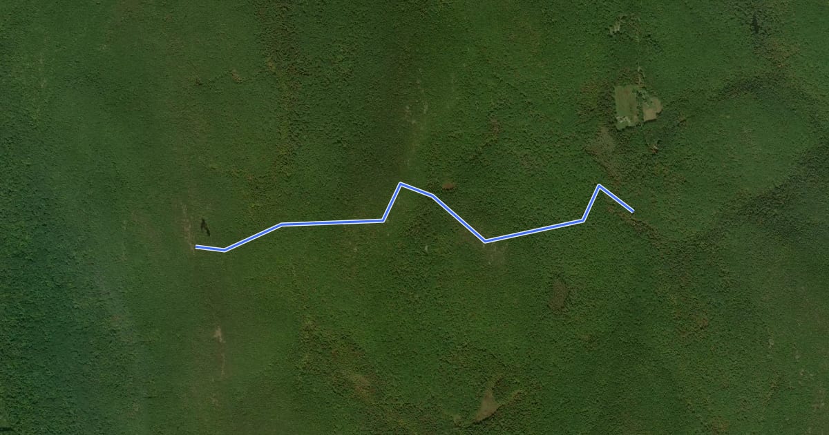 Маршрут Mt. Frissell на спутниковом снимке