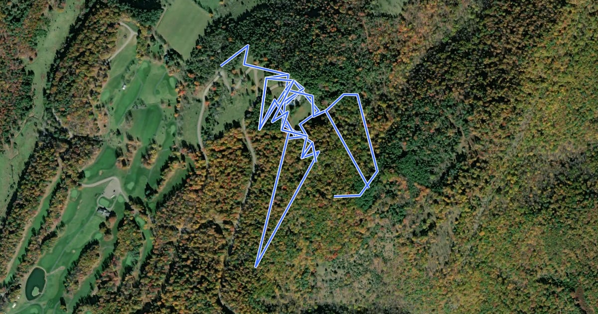 Маршрут Mt. Treasure Flow Trail на спутниковом снимке