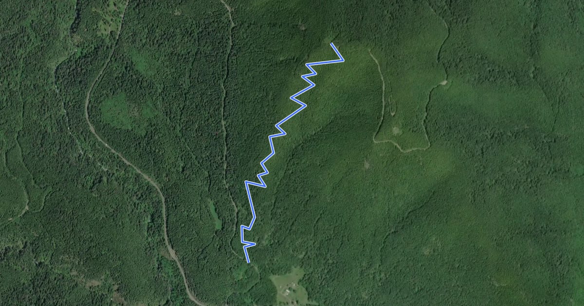 Маршрут Mt. Walker Trail #894 на спутниковом снимке