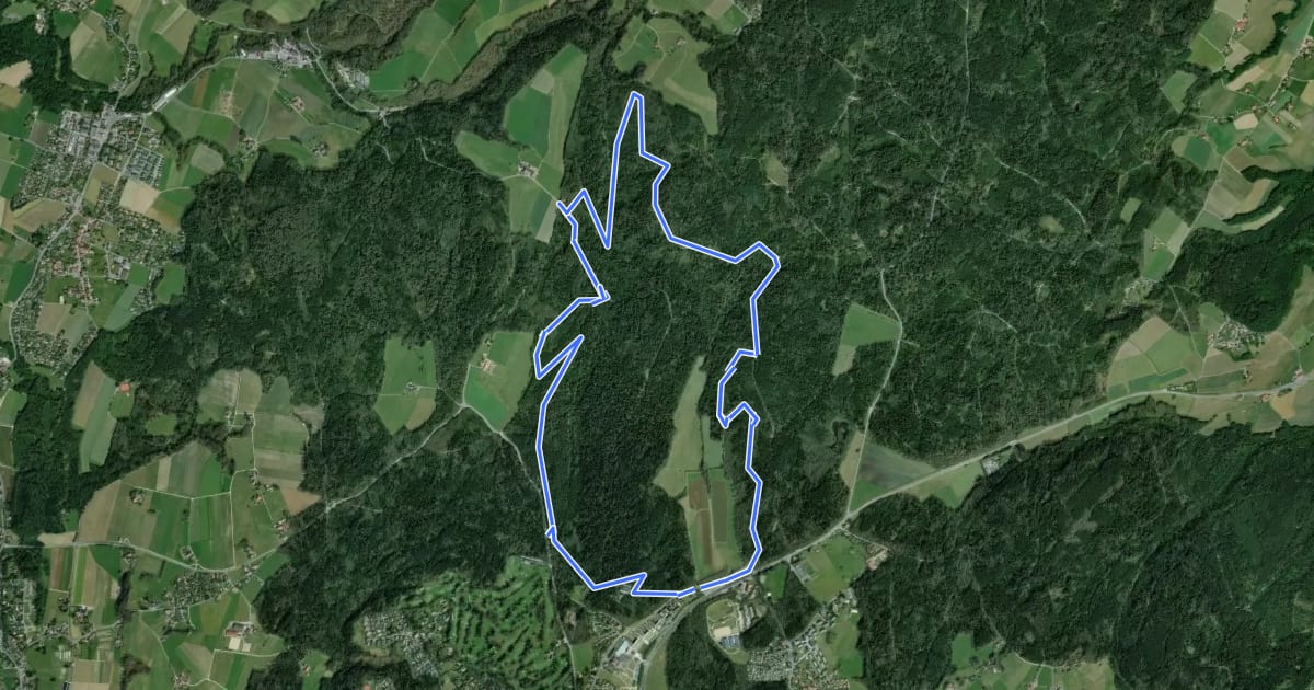 Маршрут MTB 10km на спутниковом снимке