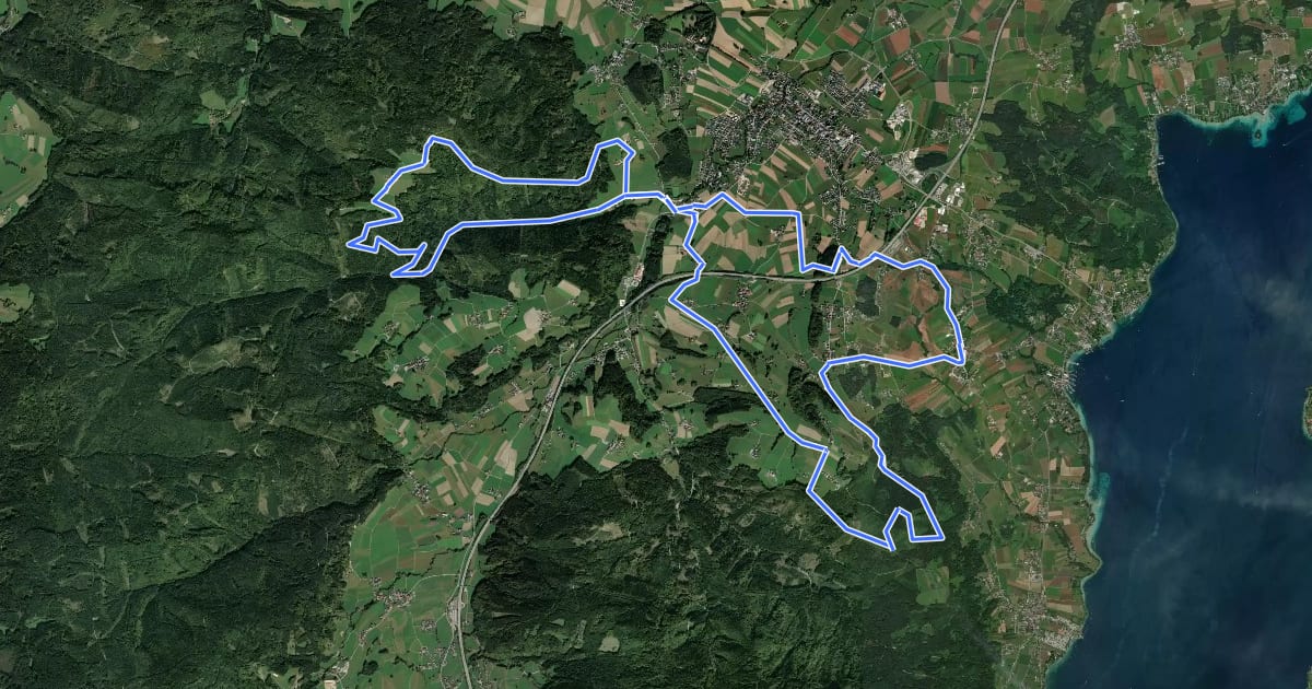 Маршрут MTB Abtsdorf-Kronberg-Lichtenberg-Abtsdorf на спутниковом снимке