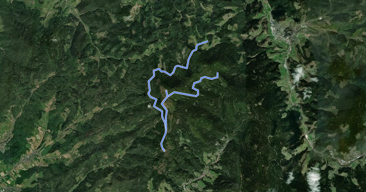 Маршрут MTB Auf den Spuren des Moospfaffs на спутниковом снимке