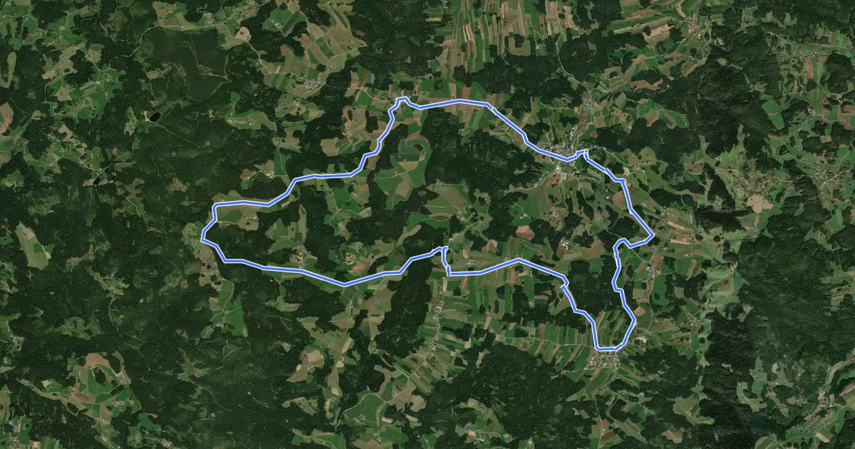 Маршрут MTB Bärenwald-Strecke на спутниковом снимке