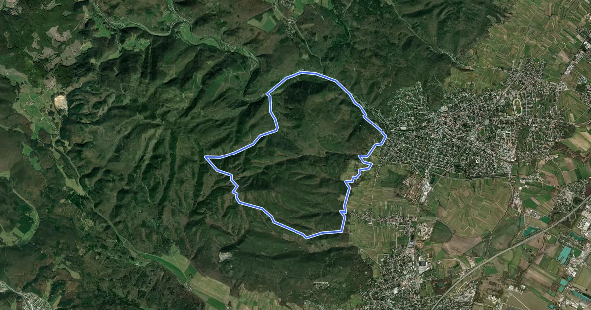 Маршрут MTB Badner-Lindkogel-Runde на спутниковом снимке