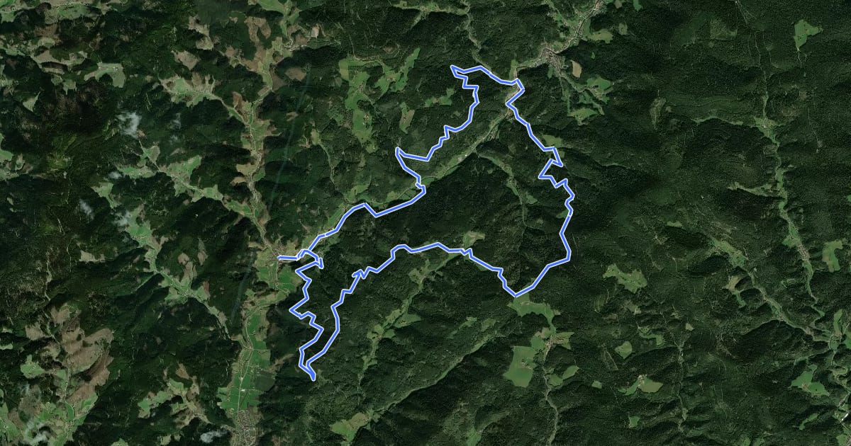 Маршрут MTB Über die Höhen des Wolftals на спутниковом снимке