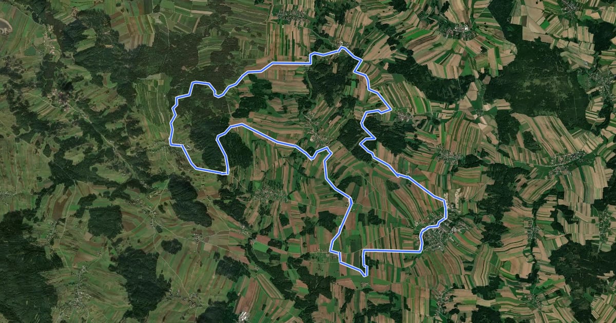 Маршрут MTB Frauenbichl Strecke на спутниковом снимке