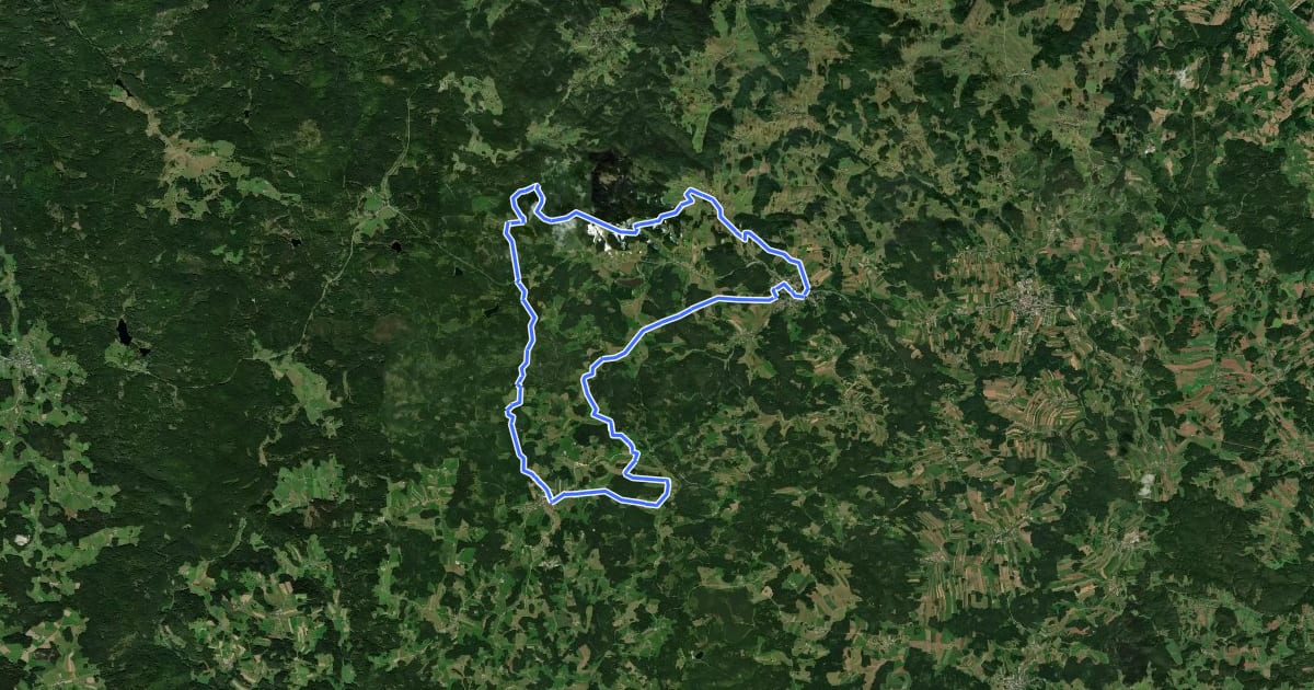 Маршрут MTB Freiwald-Strecke на спутниковом снимке