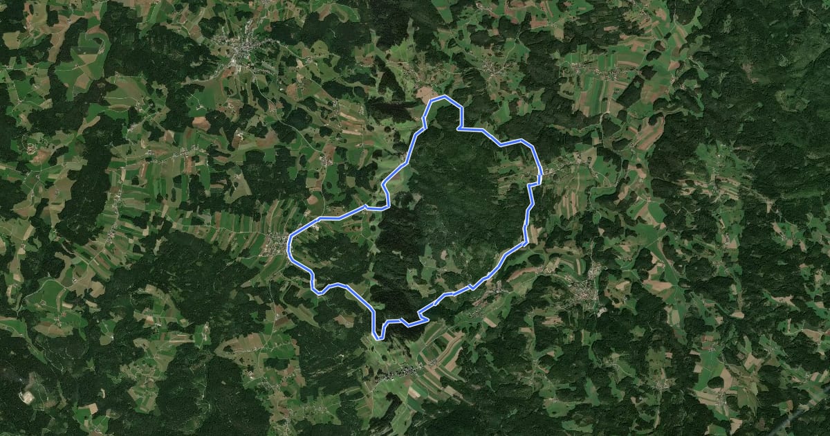Маршрут MTB Fuchsenhofweg на спутниковом снимке