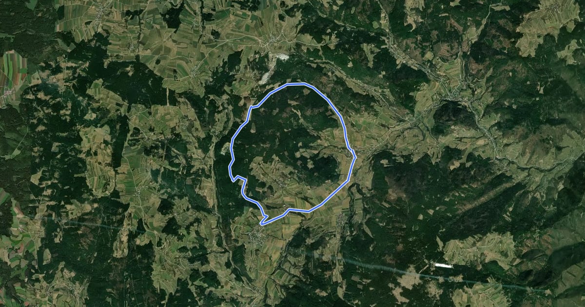 Маршрут MTB Großer Berg-Strecke на спутниковом снимке
