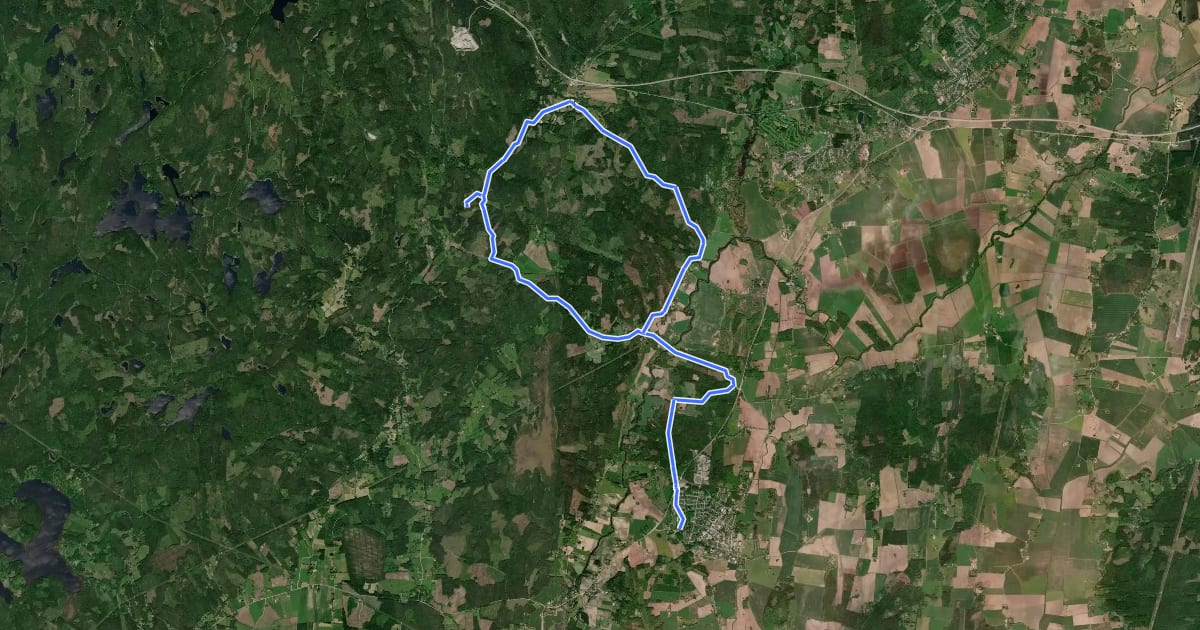 Маршрут MTB Hälsingeåsen на спутниковом снимке