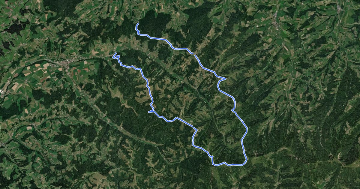Маршрут MTB Hochänzi на спутниковом снимке