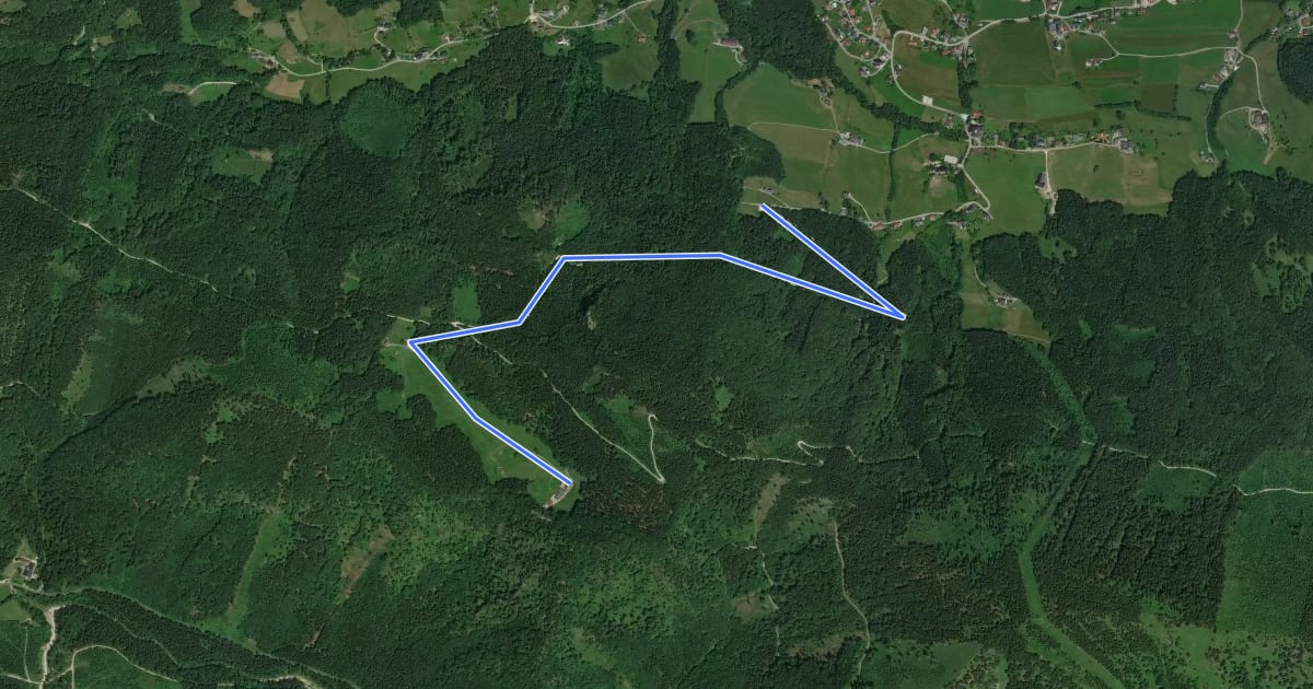 Маршрут MTB Hochsteinalm на спутниковом снимке