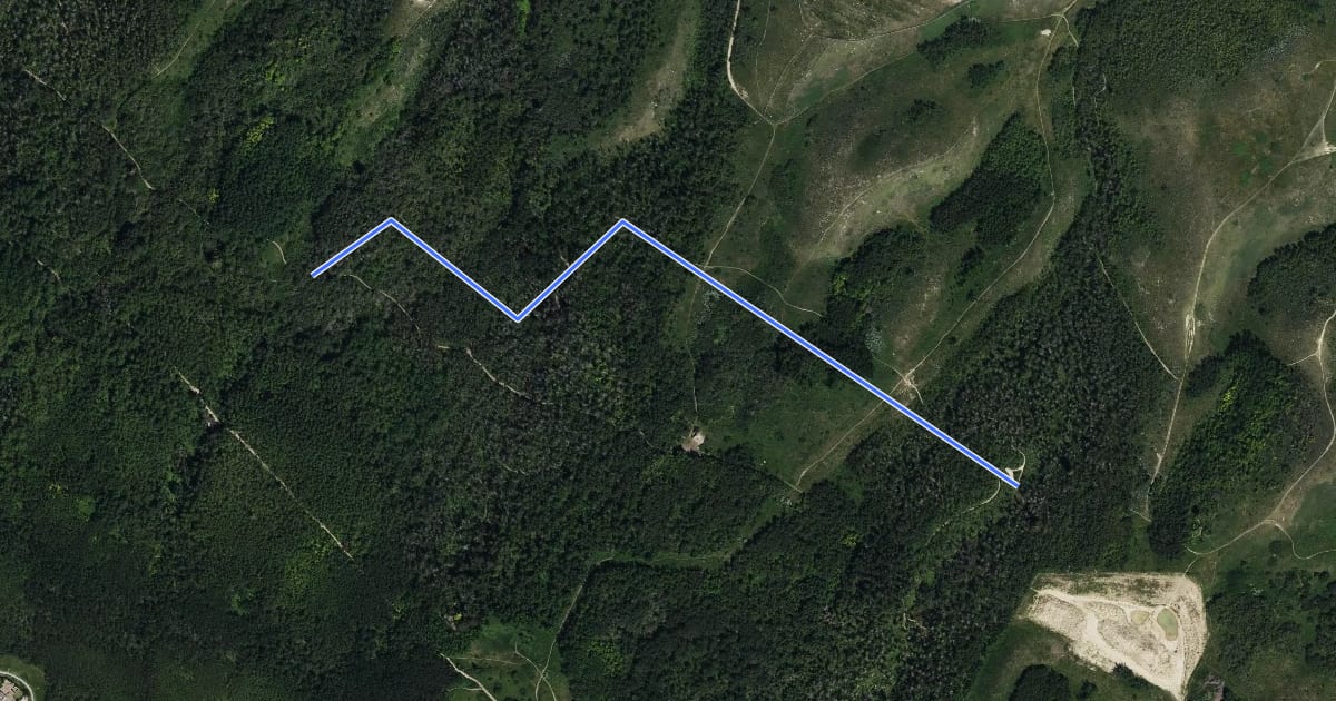 Маршрут MTB: Homestead на спутниковом снимке