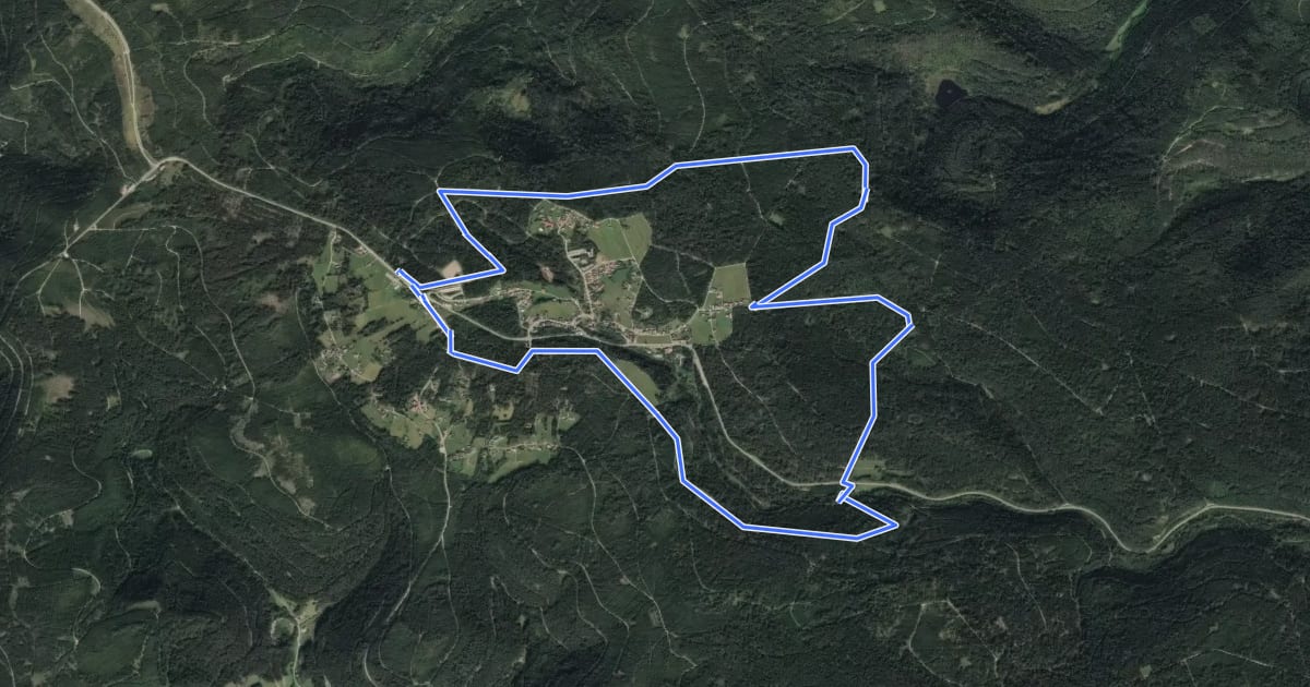 Маршрут MTB Kniebis-Tour на спутниковом снимке