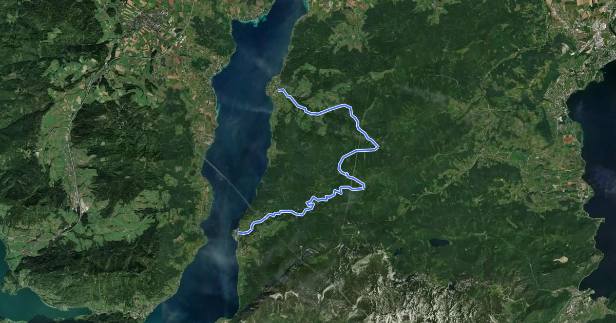 Маршрут MTB Krahbergroute: Von Steinbach nach Weyregg на спутниковом снимке