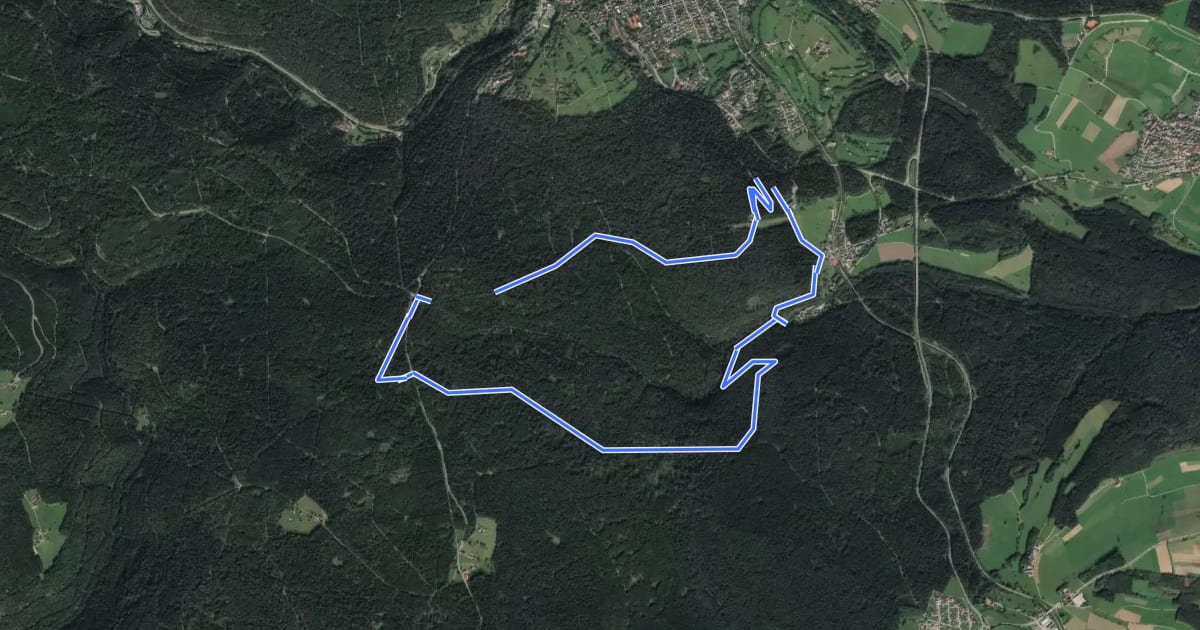 Маршрут MTB Lauterbad-Tour на спутниковом снимке