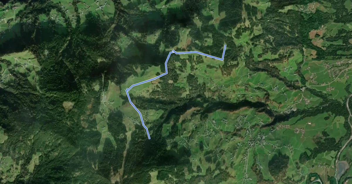 Маршрут MTB Lorenapass-Geißkopf-Bödele на спутниковом снимке