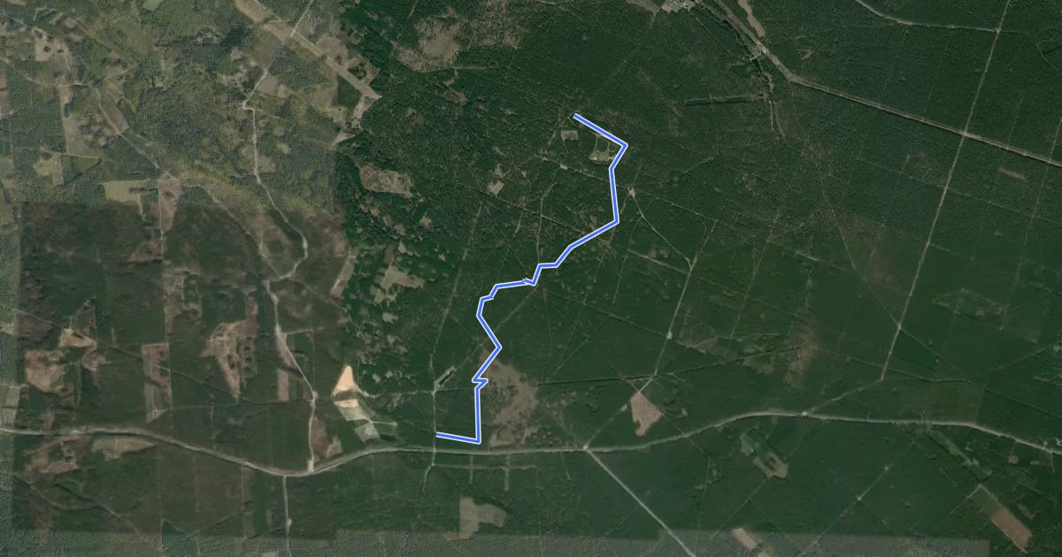Маршрут MTB MIELEC - PRZYŁĘK TRACK на спутниковом снимке