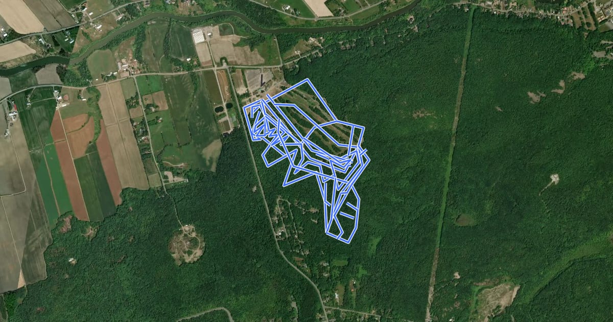 Маршрут MTB Mont Rigaud на спутниковом снимке