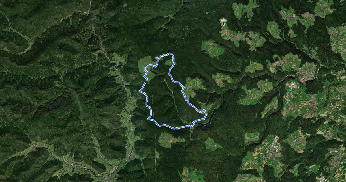 Маршрут MTB Nagoldtal-Tour на спутниковом снимке