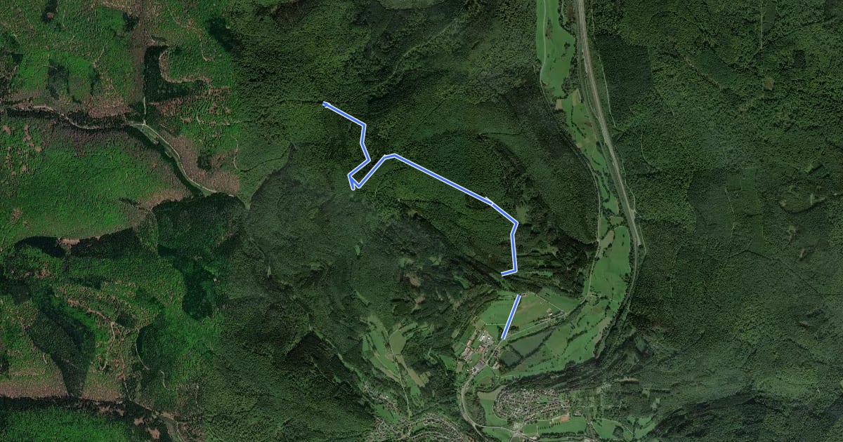 Маршрут MTB Natur Flow Trail Lindwurm на спутниковом снимке