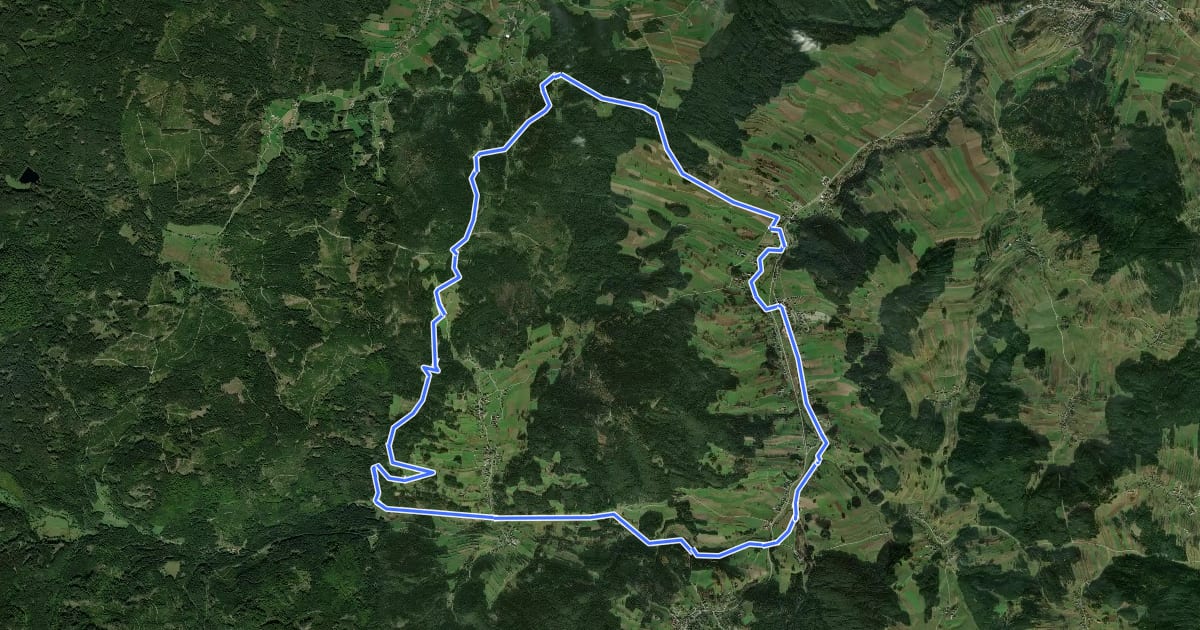 Маршрут MTB Nebelstein-Strecke на спутниковом снимке