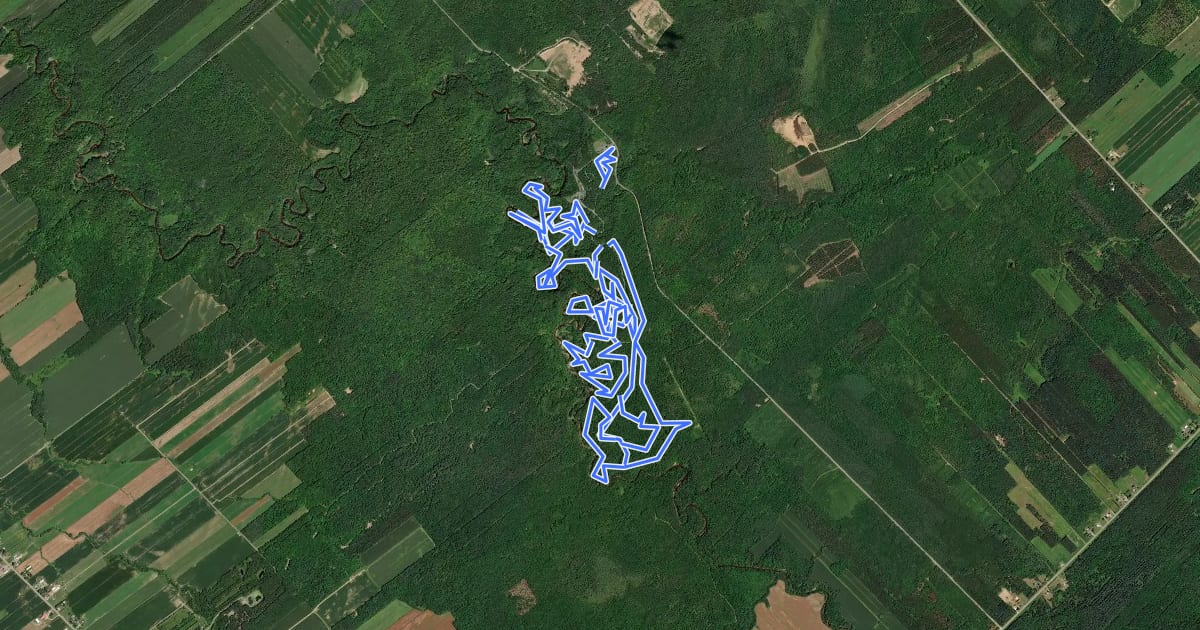 Маршрут MTB Parc Gentilly на спутниковом снимке