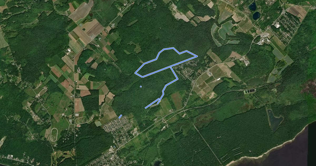 Маршрут MTB Parc Oka на спутниковом снимке