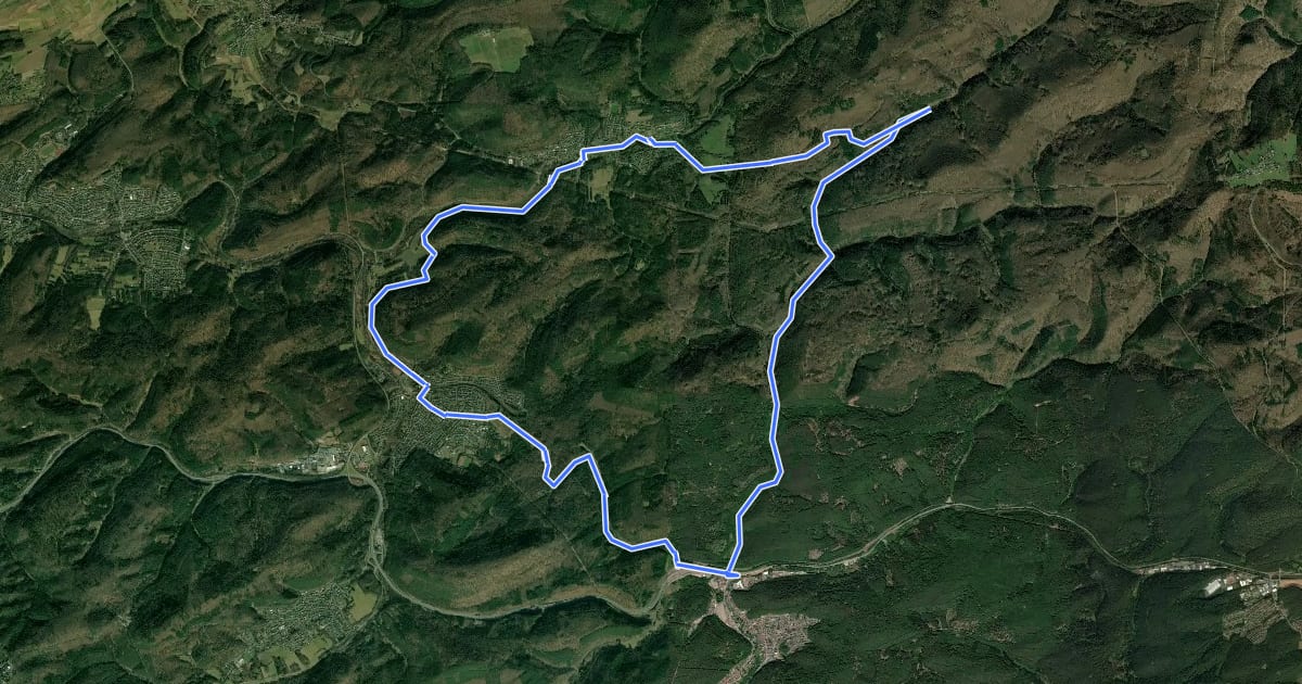 Маршрут MTB-Park Pfälzerwald, Einsteiger Tour на спутниковом снимке