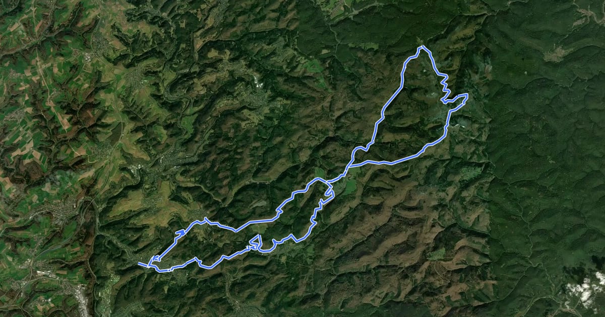 Маршрут MTB-Park Pfälzerwald, Tour 1 на спутниковом снимке