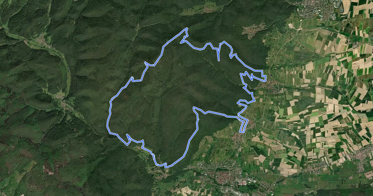 Маршрут MTB-Park Pfälzerwald, Tour 10 на спутниковом снимке