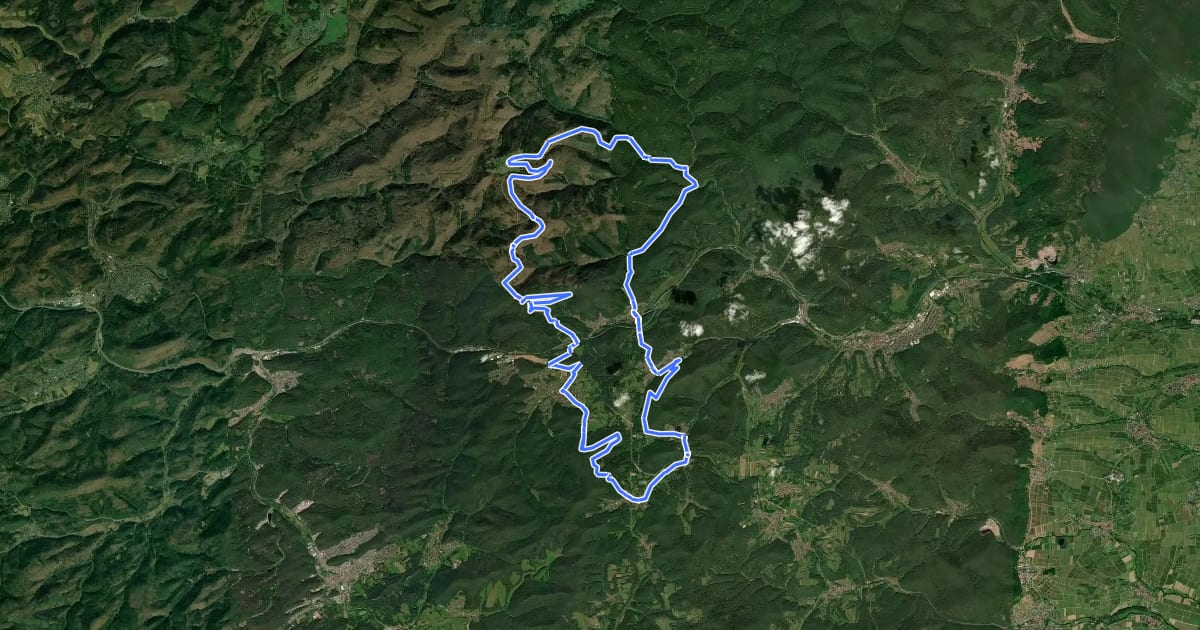 Маршрут MTB-Park Pfälzerwald, Tour 11 на спутниковом снимке