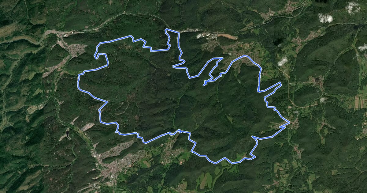 Маршрут MTB-Park Pfälzerwald, Tour 12 на спутниковом снимке