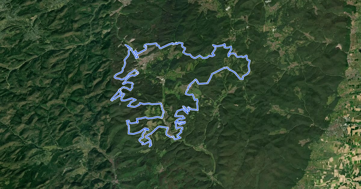 Маршрут MTB-Park Pfälzerwald, Tour 13 на спутниковом снимке