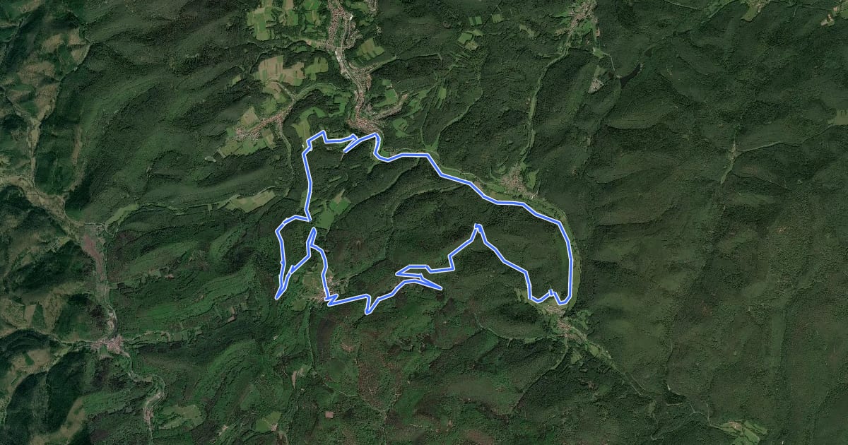 Маршрут MTB-Park Pfälzerwald, Tour 14 на спутниковом снимке