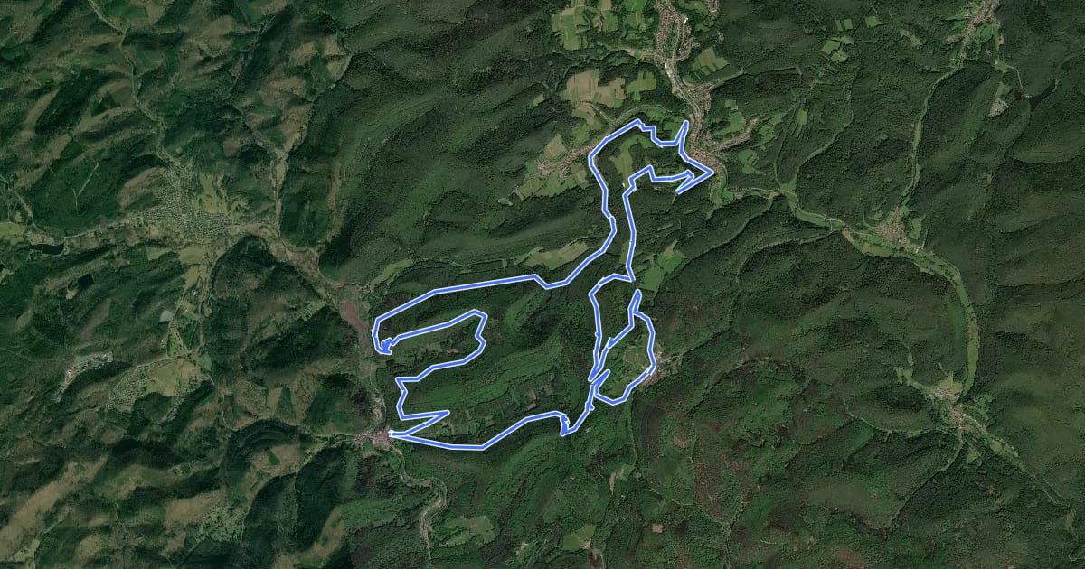 Маршрут MTB-Park Pfälzerwald, Tour 15 на спутниковом снимке