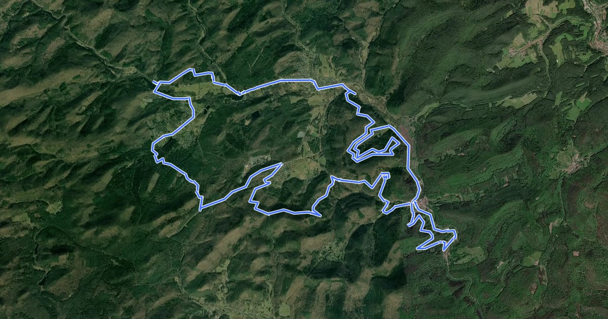 Маршрут MTB-Park Pfälzerwald, Tour 16 на спутниковом снимке