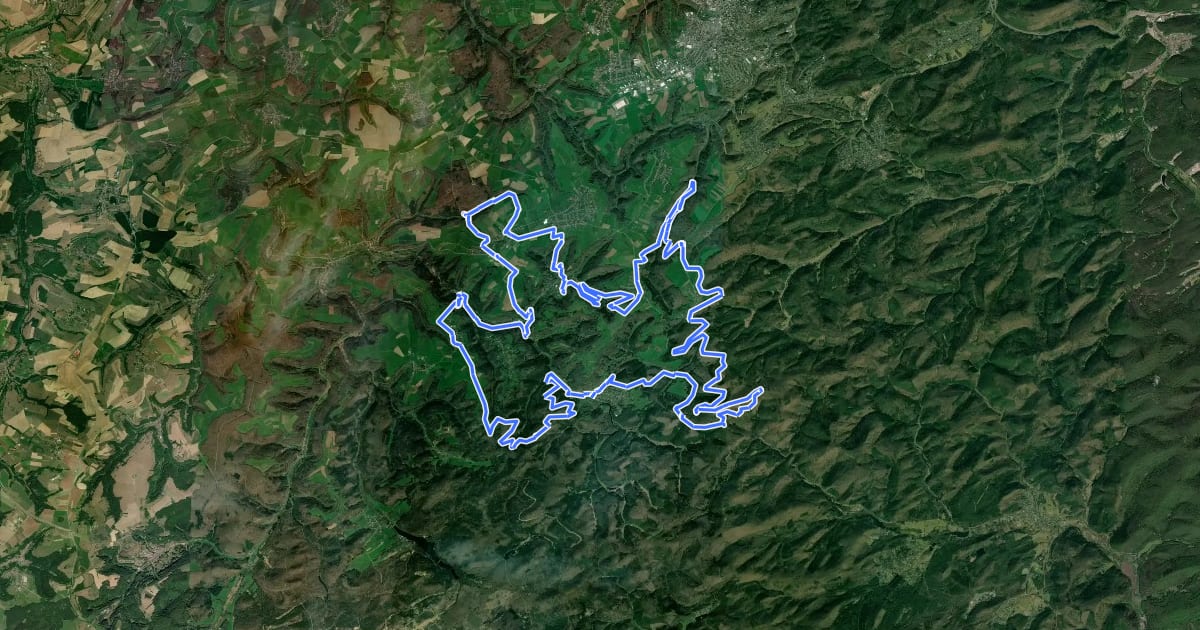 Маршрут MTB-Park Pfälzerwald, Tour 17 на спутниковом снимке