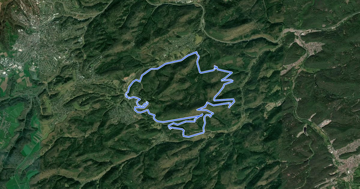 Маршрут MTB-Park Pfälzerwald, Tour 19 на спутниковом снимке