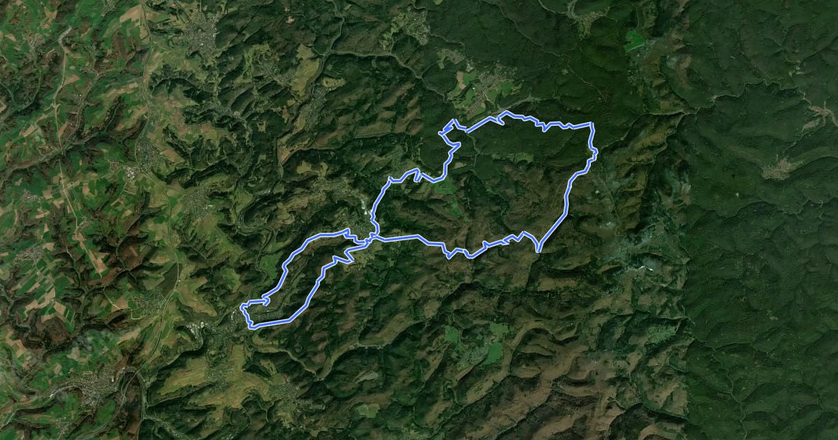 Маршрут MTB-Park Pfälzerwald, Tour 2 на спутниковом снимке